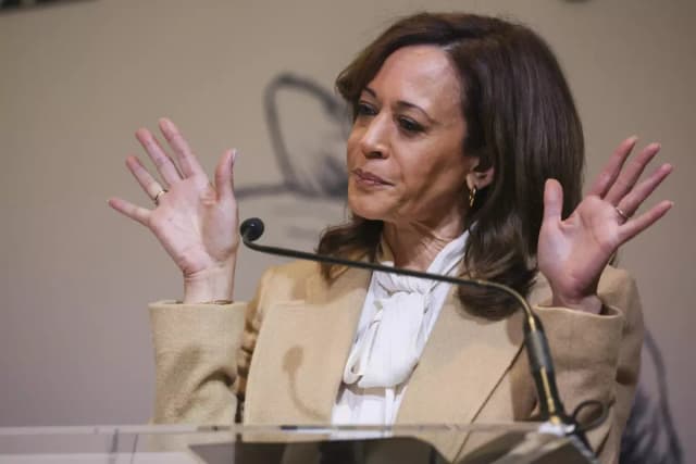 Kamala Harris criticized over delayed California governor bid