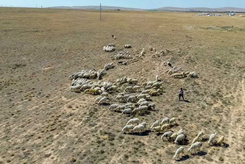 Compound heatwaves and droughts surge across Eurasia due to climate shifts