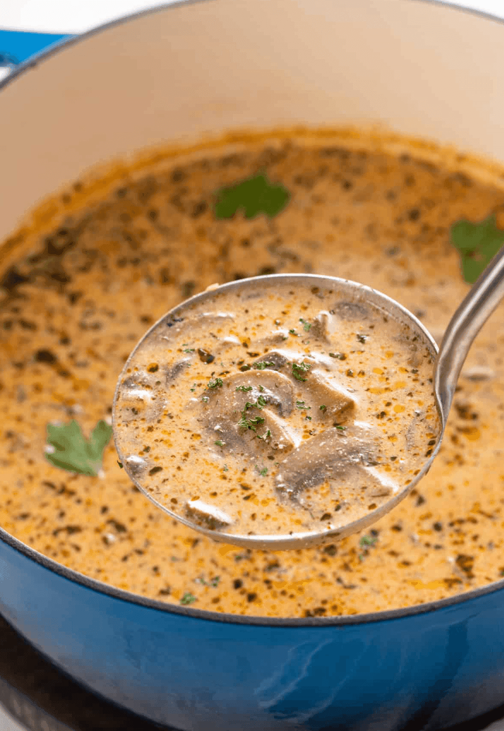 Creamy Mushroom Soup Recipe - Rich, Flavorful & Easy to Make