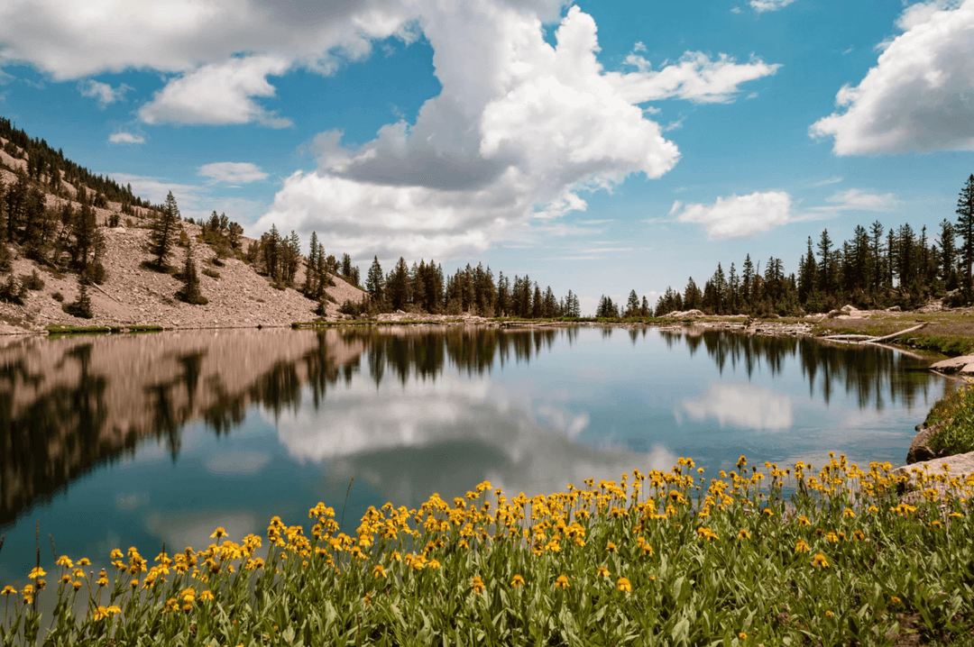 6 Ways to Support U.S. National Parks During Budget Cuts