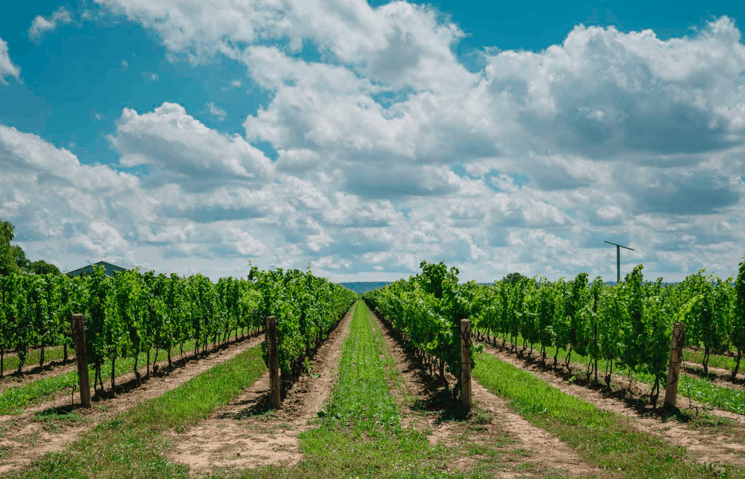 Best Day Trips from Toronto in 2025 – Top 24 Weekend Escapes